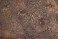 <h3></h3>
<h3>Sample No. 1314</h3>
<b>Texture</b>: crosses&nbsp; |&nbsp; <b>Surface</b>: bronze, patination