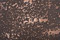 <h3></h3>
<h3>Sample No. 5149</h3>
<b>Texture</b>: lotus effect 01&nbsp; |&nbsp; <b>Surface</b>: copper, patination