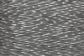 <h3></h3>
<h3>Sample No. 7413</h3>
<b>Texture</b>: notches&nbsp; |&nbsp; <b>Surface</b>: pewter