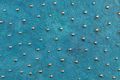 <h3></h3>
<h3>Sample No. 8199</h3>
<b>Texture</b>: ocean ground&nbsp; |&nbsp; <b>Surface</b>: bronze, turquoise patination