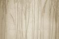 <h3></h3>
<h3>Muster-Nr. 2106 *</h3>
<b>Struktur</b>: Gräser&nbsp; | &nbsp;<b>Oberfläche</b>: Platin/Gold RDG, matt satiniert