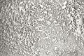 <h3>Sample No. 7338</h3>
<b>Texture</b>: lotus effect&nbsp;02&nbsp; |&nbsp; <b>Surface</b>: palladium