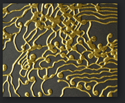 Application vitree: Structure: MS-NBL, ornementé, Surface: or orange vitré par verre anthracite